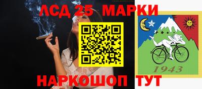 мдпв Донской