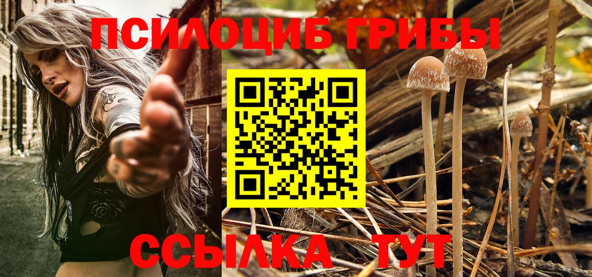 Псилоцибиновые грибы ЛСД  Вход с VPN  Коломна 